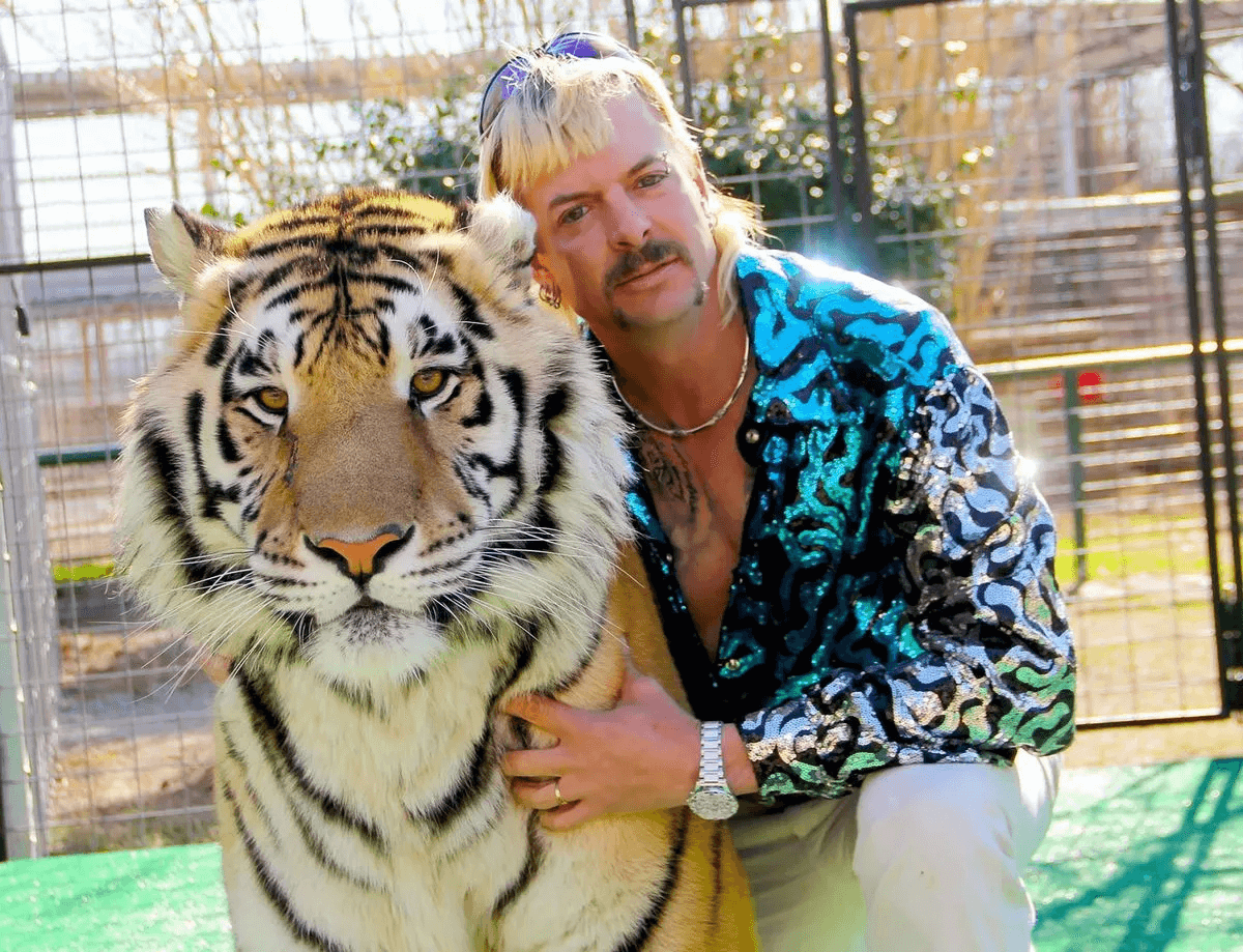 Tiger Image Tiger Image
